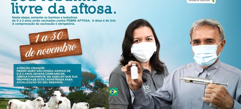 Maranhão vai realizar 2ª etapa da campanha de vacinação contra febre aftosa