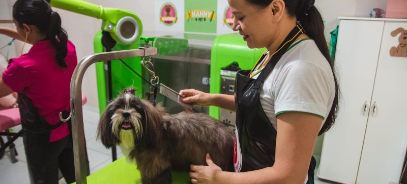 Maracaçumé é a única cidade da região a ofertar serviços de qualidade para o seu Pet