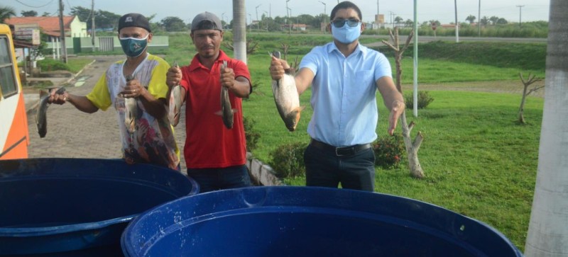 Prefeitura de Presidente Médici distribui peixe para centenas de famílias