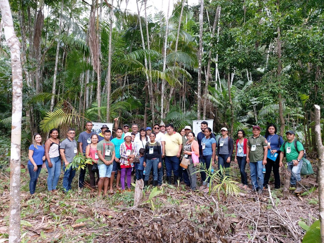 Amapá do Maranhão discute manejo de açaizais nativos em Dia de Campo