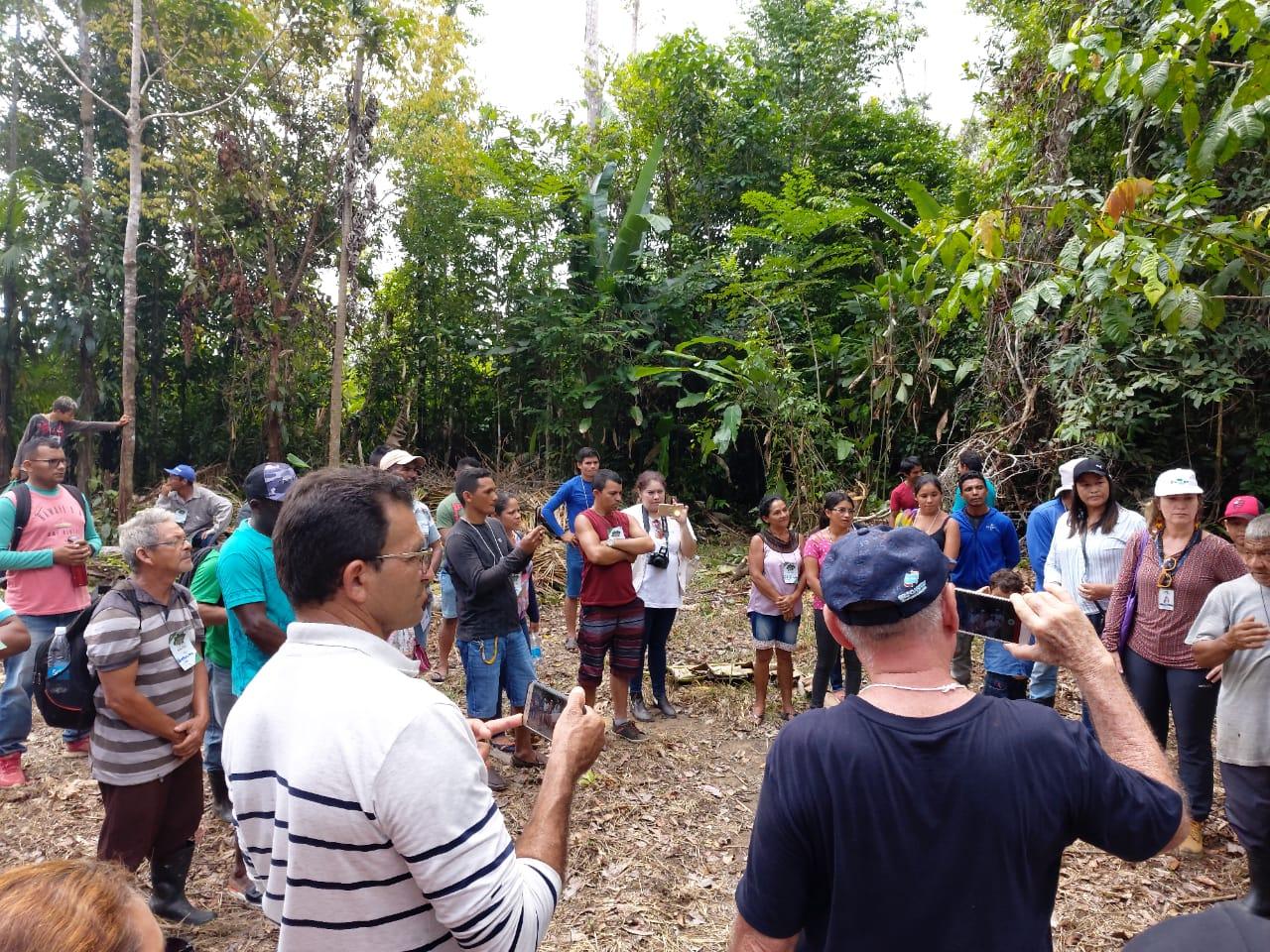 Amapá do Maranhão discute manejo de açaizais nativos em Dia de Campo