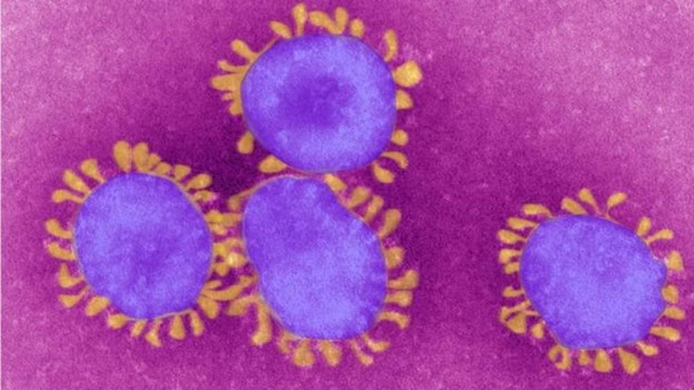 Sobe para 22 o número de casos do novo coronavírus no Maranhão