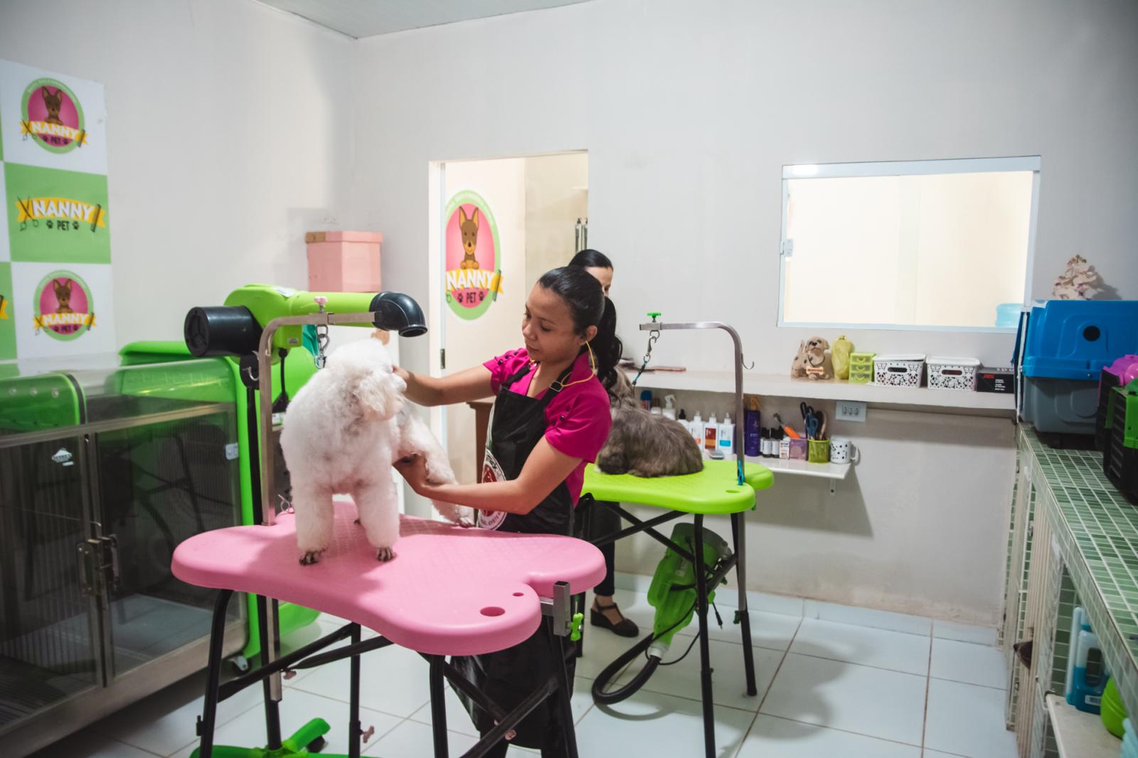 Maracaçumé é única cidade da região a ofertar serviços de qualidade para o seu Pet