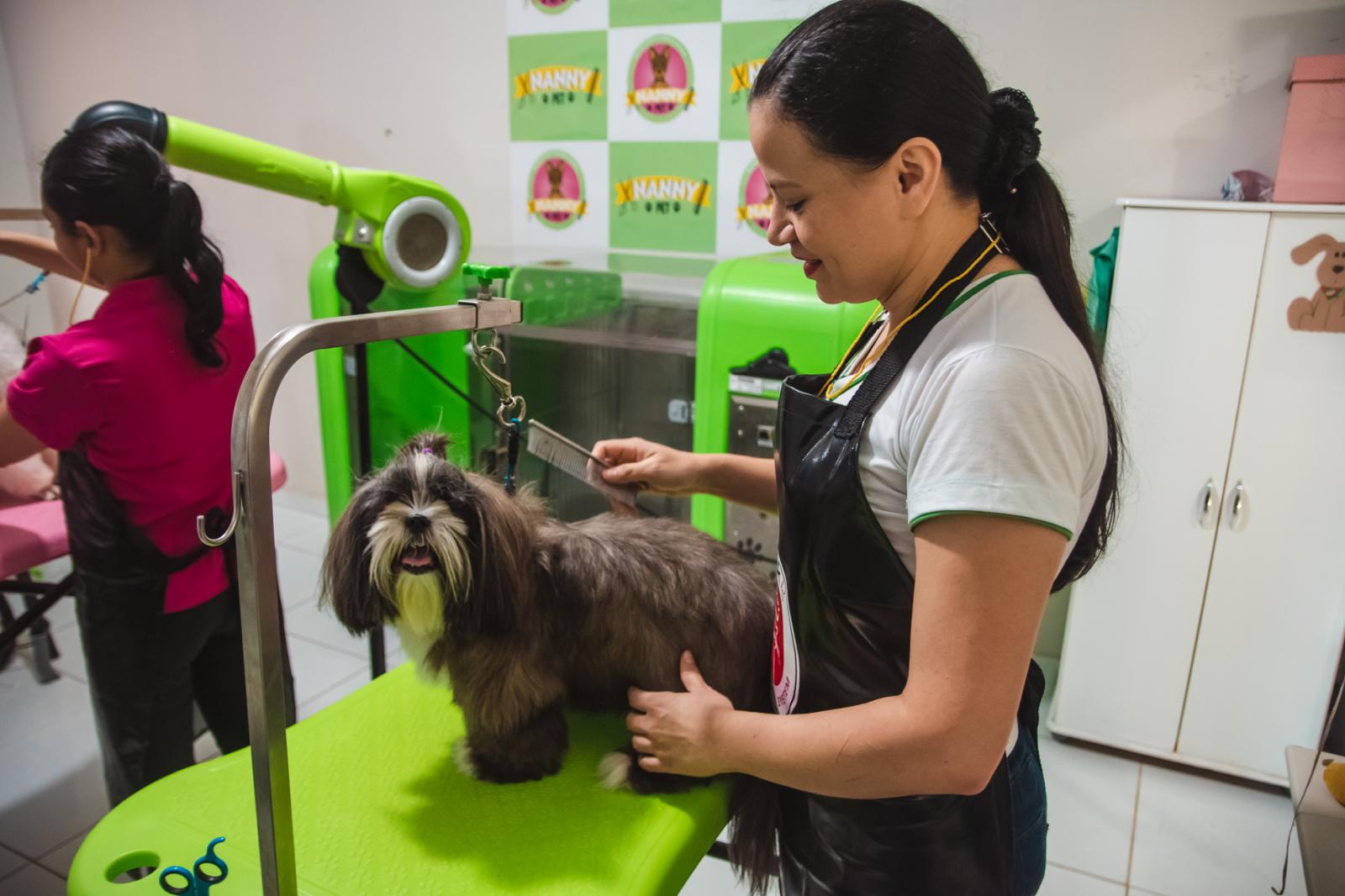 Maracaçumé é a única cidade da região a ofertar serviços de qualidade para o seu Pet
