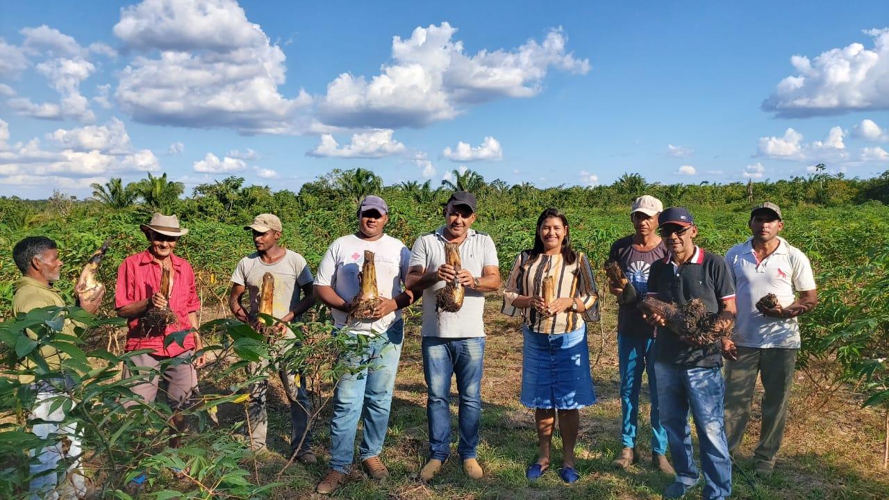Projeto melhora cadeia produtiva do açaí e começa a mudar a vida dos produtores amapaenses